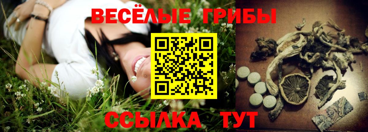 Псилоцибиновые грибы MAGIC MUSHROOMS Кимовск
